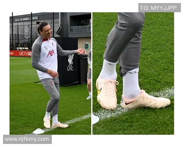 全球足球鞋品牌与球星影响力排行榜分析与探讨 全球足球鞋品牌与球星影响力排行榜分析与探讨