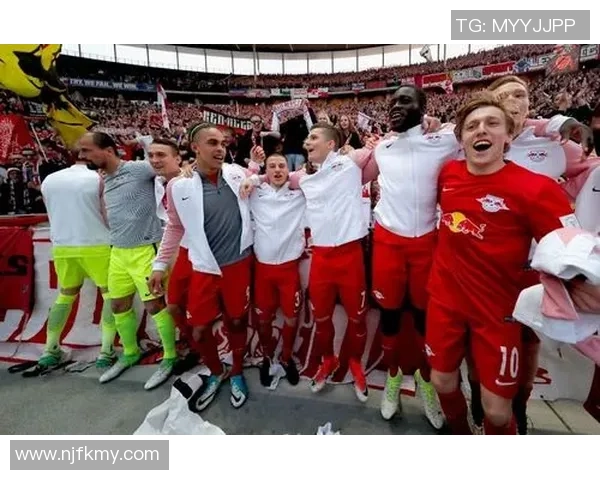 塞尔克：足球场上的闪亮新星，盘点他精彩的职业生涯与成就