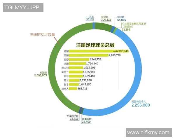 最新国际足球星级排名揭晓各国队伍实力分析与走势预测